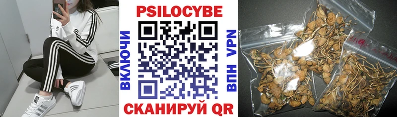 Галлюциногенные грибы Magic Shrooms  Новороссийск 